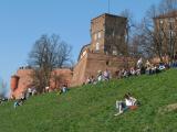 People on a hill in front of a castle