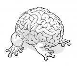 A brain with frog feet