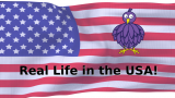 American flag, Bibliobird logo and text 'Real Life in the USA'